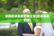法院起诉离婚前禁止令(起诉离婚前提)