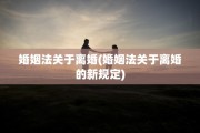 婚姻法关于离婚(婚姻法关于离婚的新规定)