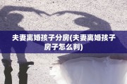 夫妻离婚孩子分房(夫妻离婚孩子房子怎么判)