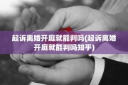 起诉离婚开庭就能判吗(起诉离婚开庭就能判吗知乎)