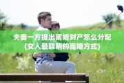 夫妻一方提出离婚财产怎么分配(女人最聪明的离婚方式)