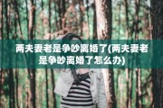 两夫妻老是争吵离婚了(两夫妻老是争吵离婚了怎么办)