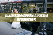 哈尔滨离婚去哪里离(哈尔滨离婚去哪里离婚好)