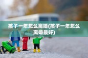 孩子一年怎么离婚(孩子一年怎么离婚最好)