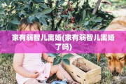 家有弱智儿离婚(家有弱智儿离婚了吗)