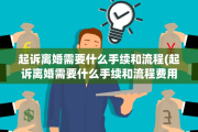 起诉离婚需要什么手续和流程(起诉离婚需要什么手续和流程费用)