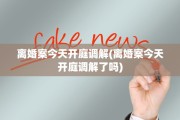 离婚案今天开庭调解(离婚案今天开庭调解了吗)
