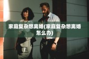 家庭复杂想离婚(家庭复杂想离婚怎么办)