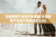 夫妻感情不合但不想离婚(夫妻感情不合但不想离婚怎么办)