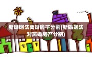 新婚姻法离婚房子分割(新婚姻法对离婚房产分割)