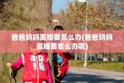 爸爸妈妈离婚要怎么办(爸爸妈妈离婚要怎么办呢)