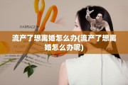 流产了想离婚怎么办(流产了想离婚怎么办呢)