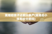 离婚后孩子还能分家产(离婚后小孩有权分房吗)