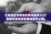 打离婚官司律师的费用是多少(打离婚官司律师的费用是多少钱)