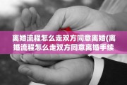 离婚流程怎么走双方同意离婚(离婚流程怎么走双方同意离婚手续)