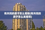 有共同的房子怎么离婚(有共同的房子怎么离婚呢)