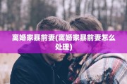 离婚家暴前妻(离婚家暴前妻怎么处理)