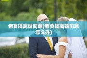 老婆提离婚同意(老婆提离婚同意怎么办)