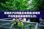 离婚孩子归母亲后来再婚(离婚孩子归母亲后来再婚怎么办)