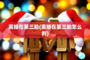 离婚在第三胎(离婚在第三胎怎么判)