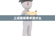 上诉离婚要求是什么