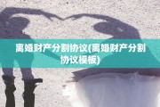 离婚财产分割协议(离婚财产分割协议模板)