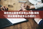 现在协议离婚手续怎么办理(现在协议离婚手续怎么办理的)