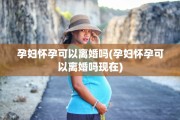 孕妇怀孕可以离婚吗(孕妇怀孕可以离婚吗现在)