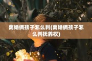 离婚俩孩子怎么判(离婚俩孩子怎么判抚养权)
