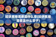 起诉离婚需要盖什么章(起诉离婚需要盖什么章子)