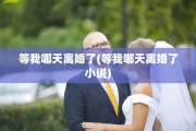 等我哪天离婚了(等我哪天离婚了小说)
