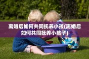 离婚后如何共同抚养小孩(离婚后如何共同抚养小孩子)