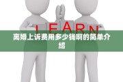 离婚上诉费用多少钱啊的简单介绍