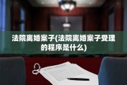 法院离婚案子(法院离婚案子受理的程序是什么)
