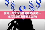 离婚一方又同意能离婚吗(离婚一方又同意能离婚吗怎么办)