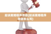 起诉离婚程序原因(起诉离婚程序原因怎么写)