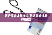 起诉离婚该怎样说(起诉离婚该怎样说话)