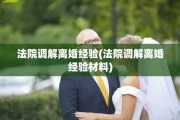法院调解离婚经验(法院调解离婚经验材料)
