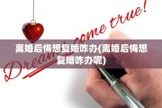 离婚后悔想复婚咋办(离婚后悔想复婚咋办呢)