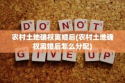 农村土地确权离婚后(农村土地确权离婚后怎么分配)