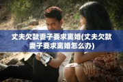 丈夫欠款妻子要求离婚(丈夫欠款妻子要求离婚怎么办)