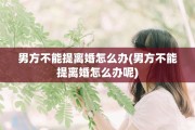 男方不能提离婚怎么办(男方不能提离婚怎么办呢)