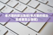 单方面的提出离婚(单方面的提出离婚要怎么做呢)