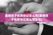 离婚孩子抚养协议怎么写(离婚孩子抚养协议怎么写生效)