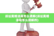 诉讼离婚法庭怎么调解(诉讼离婚法庭怎么调解的)