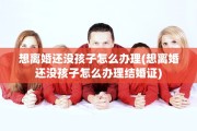 想离婚还没孩子怎么办理(想离婚还没孩子怎么办理结婚证)