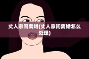 丈人家闹离婚(丈人家闹离婚怎么处理)