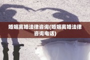 婚姻离婚法律咨询(婚姻离婚法律咨询电话)