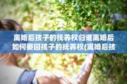 离婚后孩子的抚养权归谁离婚后如何要回孩子的抚养权(离婚后孩子的抚养权怎么要回来)