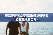 辱骂婆婆老公要离婚(辱骂婆婆老公要离婚怎么办)